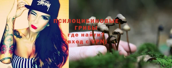 эйфоретик Бородино