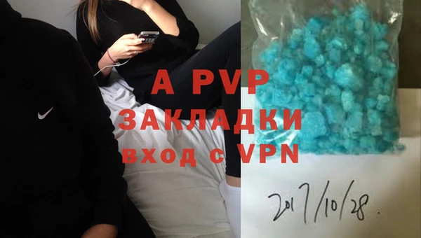 эйфоретик Бородино