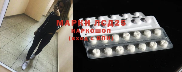 эйфоретик Бородино
