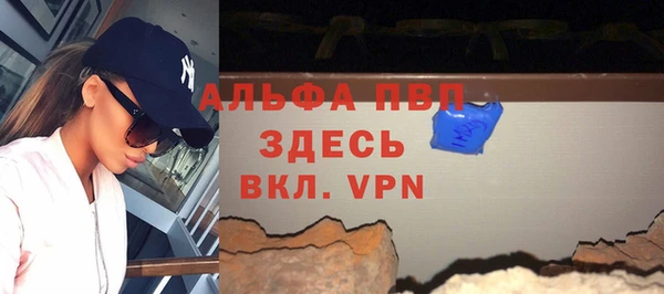 эйфоретик Бородино