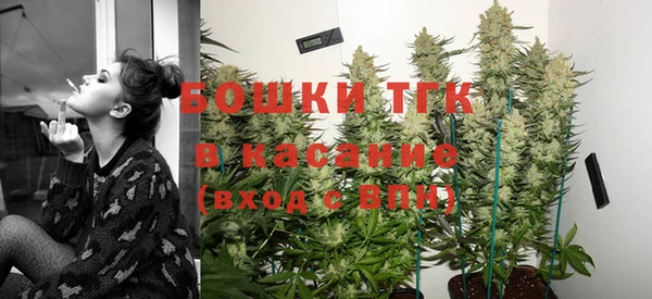эйфоретик Бородино