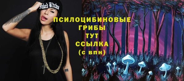 PSILOCYBIN Бугульма