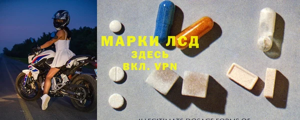 эйфоретик Бородино