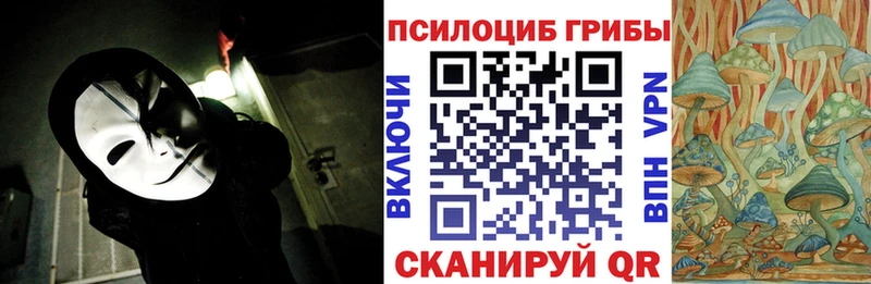 Купить где  Кузнецк  Галлюциногенные грибы Magic Shrooms 